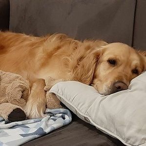 Meet your Posher, Helen